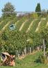 Systémy ekologickej a integrovanej ochrany vinohradov