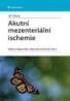 Srdce a atherosklerosa. Patologie. Ischemická choroba srdeční. Energetický metabolismus. 1. Ischemická choroba srdeční