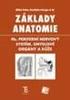 Obecná anatomie periferního nervového systému a periferních receptorů Miloš Grim Anatomický ústav 1. LF UK v Praze duben 2012