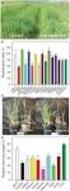 EVALUATION OF THE ACTIVITY OF BARLEY COR/LEA GENES AFTER THE APLICATION OF THE EXOGENOUS ABSCISIC ACID