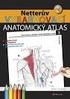 ÚVOD DO ANATOMIE OBECNÁ OSTEOLOGIE