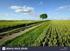 Agricultural landscapes in Europe