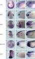 Figure 3-23 Molecular Biology of the Cell ( Garland Science 2008)