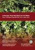 Red List of vascular plants of the Czech Republic: 3rd edition