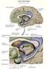 THE LIMBIC SYSTEM. Institute of Anatomy, 2nd and 1st Medical Faculty R. Druga