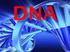 ÚVOD. Úvod ke struktuře nukleových kyselin Struktura DNA Replikace DNA Opravy DNA