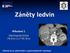 Záněty ledvin. Mihulová I. Radiologická klinika FN Brno a LF MU Brno. Valtické kurzy abdominální a gastrointestinální radiologie