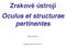 Zrakové ústrojí Oculus et structurae pertinentes. David Kachlík