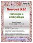 Nervová tkáň. histologie a embryologie. Modul IB. Martin Špaček