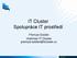 IT Cluster Spolupráce IT prostředí. Přemysl Soldán chairman IT Cluster