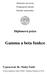 Jihočeská univerzita Pedagogická fakulta Katedra matematiky. Diplomová práce. Gamma a beta funkce