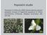 Tomimatsu H. &OharaM. (2003): Genetic diversity and local population structure of fragmented populations of Trillium camschatcense (Trilliaceae).
