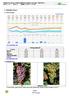 1. Aktuální situace. 1.1 Meteorologie. 1.2 Fenofáze révy.