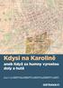 Kdysi na Karolině. aneb Když za humny vyrostou doly a hutě. Statutární město Ostrava, Archiv města Ostravy
