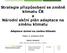 Strategie přizpůsobení se změně klimatu ČR a Národní akční plán adaptace na změnu klimatu