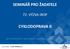 SEMINÁŘ PRO ŽADATELE 72. VÝZVA IROP CYKLODOPRAVA II. Ing. Pavla Bártíková, specialista pro absorpční kapacitu České Budějovice