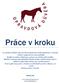 Práce v kroku. Radek Líbal.