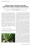 Navýšení výnosu a jakosti cukrové řepy pomocí listové výživy a biologicky aktivních látek