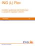 ING (L) Flex. Investiční společnost otevřeného typu s variabilním kapitálem (SICAV) PROSPEKT INVESTMENT MANAGEMENT. LUCEMBURK srpen 2013