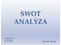 SWOT ANALÝZA 126MSFN