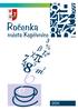 ÚVOD... 3 VOLENÉ ORGÁNY MĚSTA... 4 ZASTUPITELSTVO MĚSTA... 4 RADA MĚSTA... 6 MĚSTSKÝ ÚŘAD KOPŘIVNICE... 8 KRIZOVÉ ŘÍZENÍ... 9 BEZPEČNOSTNÍ RADA OBCE