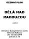 ÚZEMNÍ PLÁN BĚLÁ NAD RADBUZOU. zadání. Schváleno Zastupitelstvem města Bělá nad Radbuzou dne 13. ledna 2016 pod usn. č. 12