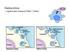 Endocytóza o regulovaný transport látek v buňce
