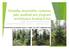 Výsledky lesnického výzkumu jako podklad pro program revitalizace Krušných hor