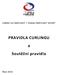 ZIMNÍ OLYMPIJSKÝ / PARALYMPIJSKÝ SPORT. PRAVIDLA CURLINGU a Soutěžní pravidla