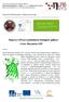 Příprava GFP pro molekulárně biologické aplikace 1.část: Biosyntéza GFP