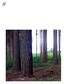 Novák et al.: Applying Douglas-fir in forest management of the Czech Republic