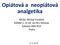 Opiátová a neopiátová analgetika. MUDr. Michal Horáček KARIM 2. LF UK ve FN v Motole Katedra AIM IPVZ Praha