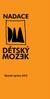 Nadace Dětský mozek byla založena v roce 1992 a po celou dobu své existence, v souladu se statutem, podporuje osoby s postižením nervového systému.