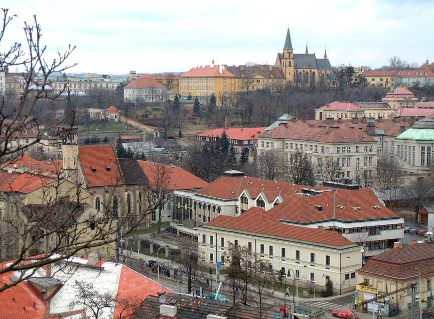 BEHCETOVA NEMOC SOUČASNÁ DIAGNOSTIKA A LÉČBA Radim Bečvář