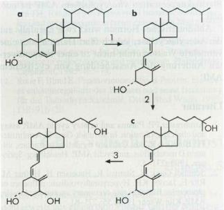 Klíčovým regulátorem hladiny cirkulujícího metabolitu vitaminu D, kalcitriolu, není pravděpodobně kalcium, ale parathyrin (dále PTH).