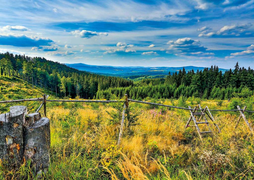 výkaz zisku
