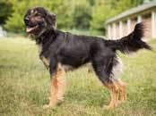 Jsme rádi, že v období květen a červen se k nám hlásí dostatek praktikantů ze střední veterinární školy v Kroměříži a středního odborného učiliště v Uherském Brodě, kteří u nás vykonají svou praxi, a