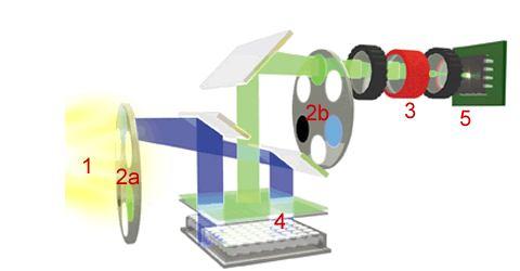 halogenová lampa emisní filtry zesilovač ccd kamera