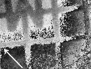 q t = 55 µm q t = 32