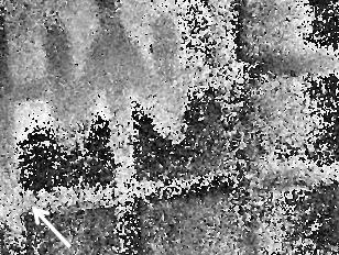 13 µm q t = 48 µm q t