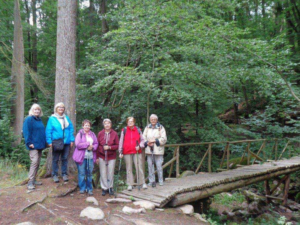 Bez takových, poměrně (ne)-bezpečných můstků (některé nemají ani to zábradlí) by se Šembera těžko překonávala.