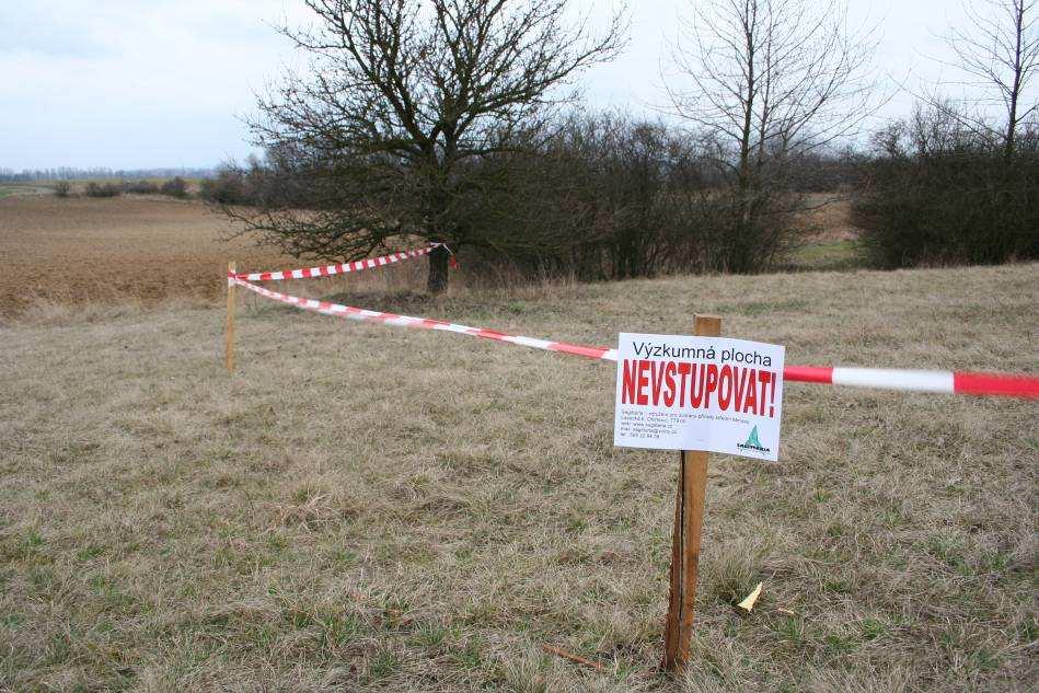 Nemilanská cihelna Na lokalitě byly realizovány managementové práce - sečení pozemku (2x ročně) a odstraňování nárostu křovin.