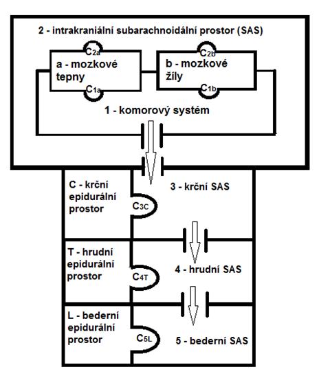 Obr. 5.2.2 Schematické znázornění vypracovaného kompartmentového modelu s označením jeho jednotlivých částí. Cirkulace mozkomíšního moku je v modelu nahrazena prouděním ideální kapaliny.