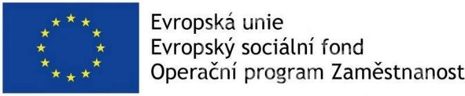 PŘÍLOHA VÝZVY č. 4 Podporované aktivity Aktivity v oblasti sociálního začleňování osob sociálně vyloučených či sociálním vyloučením ohrožených musí mít vždy přímý dopad na cílové skupiny, tj.