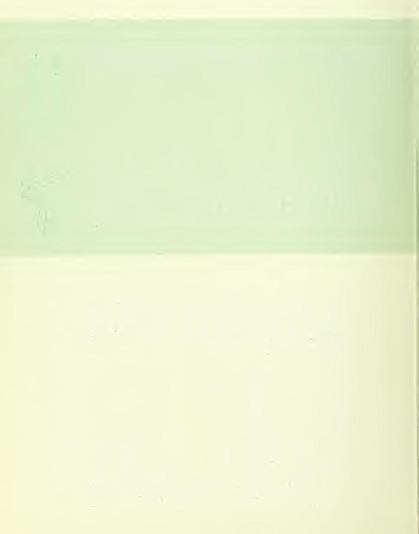 tnintlnr- Ln-3-r-.