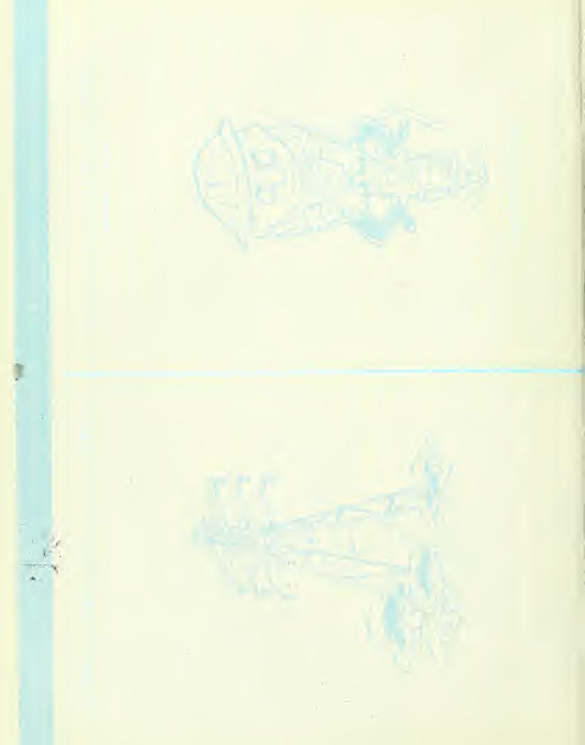 : 8 ( 01 3 in g S S C. G S v5 1/3 P 3 3 m. ^Tl S- "2 s 2 ««W 2 «B & 15 JS "5 x 1 t 3sS.2.2 C3 =* j- s s~ ^ 'S - 1" J d r- "1 I- t ; 0)3-0 ^ "^ 0" J «*-.