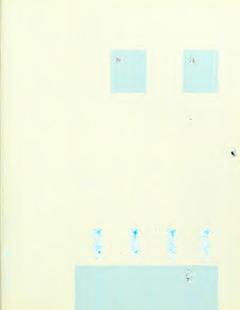 8- ~3 (_) =