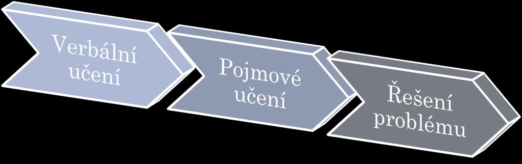 3. VERBÁLNÍ UČENÍ nejrozšířenější druh učení = učení se