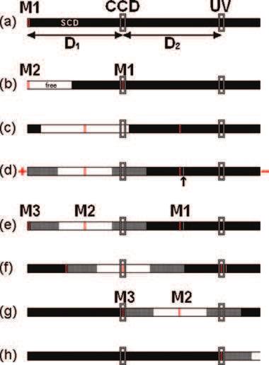 Electrophoresis 2013, 34, 768 776 CE and CEC 771 Figure 2. Signal of CCD detector and UV detector in 2d method experiment. Procedure of the method is shown in Fig. 1. (A) CCD, (B) UV detector.