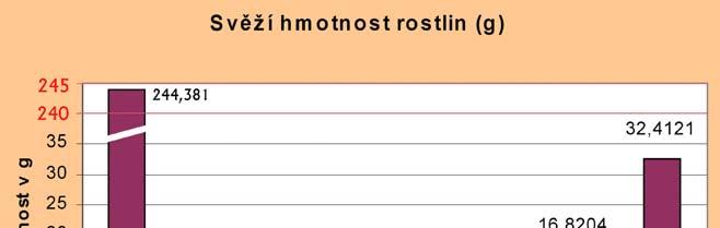 Vyhodnocení rostlin Počet vzešlých rostlin v %